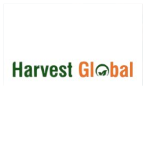 Logo 11
